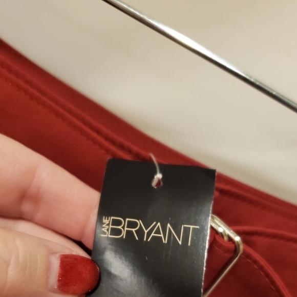 🍁New Plus Size Venezia Skirt from Lane Bryant Size 20 - Picture 3 of 4